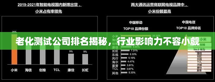 老化测试公司排名揭秘,行业影响力不容小觑
