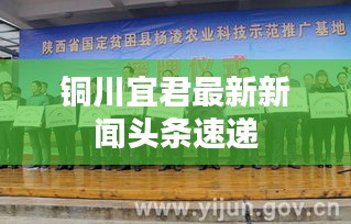 铜川宜君最新新闻头条速递