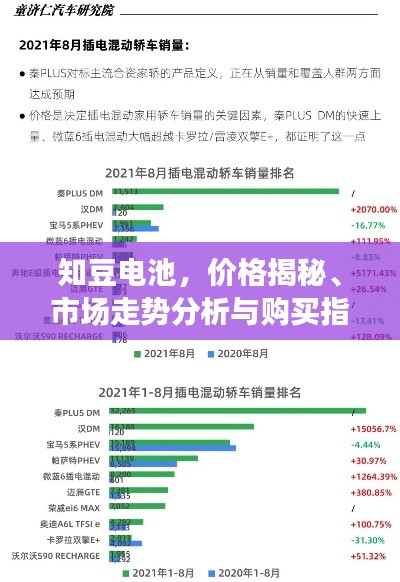 知豆电池,价格揭秘、市场走势分析与购买指南