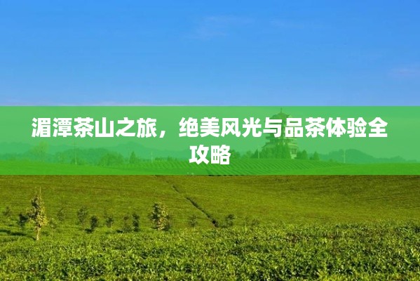 湄潭茶山之旅,绝美风光与品茶体验全攻略