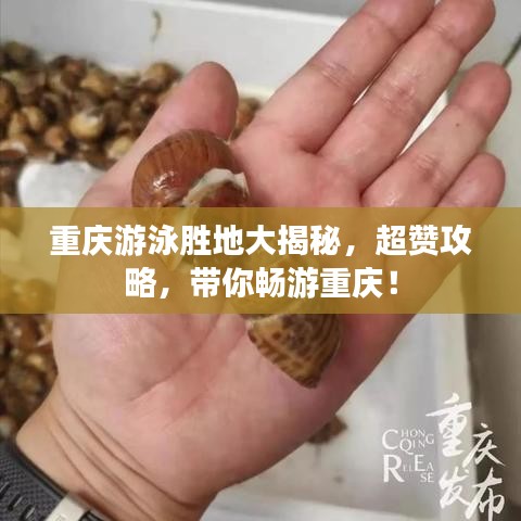 重庆游泳胜地大揭秘,超赞攻略,带你畅游重庆!
