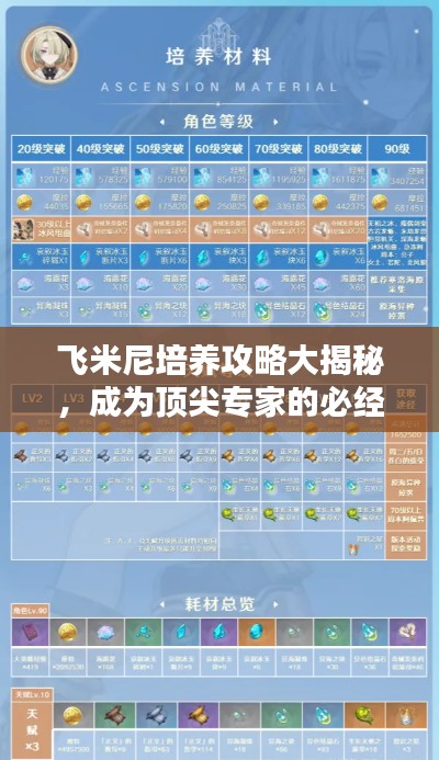 飞米尼培养攻略大揭秘，成为顶尖专家的必经之路