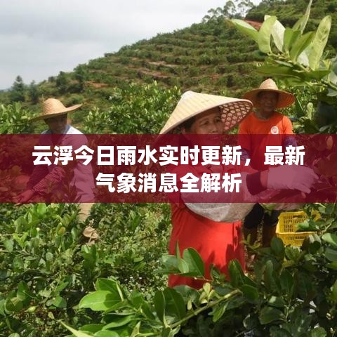 云浮今日雨水实时更新,最新气象消息全解析
