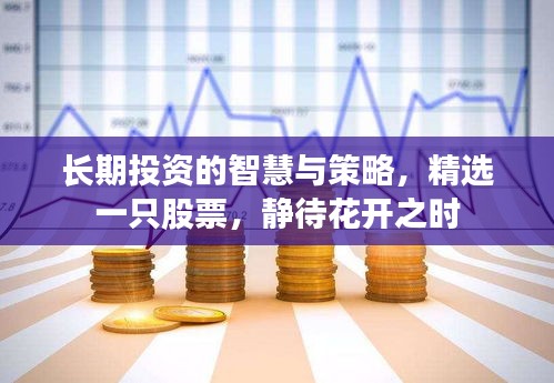 长期投资的智慧与策略，精选一只股票，静待花开之时