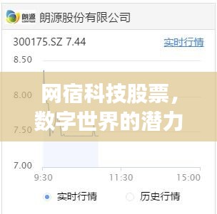 网宿科技股票，数字世界的潜力股，投资新宠！