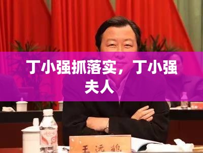 丁小强抓落实,丁小强夫人