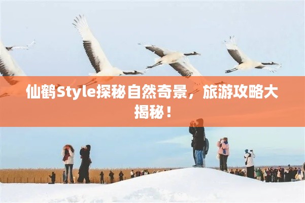 仙鹤Style探秘自然奇景,旅游攻略大揭秘!