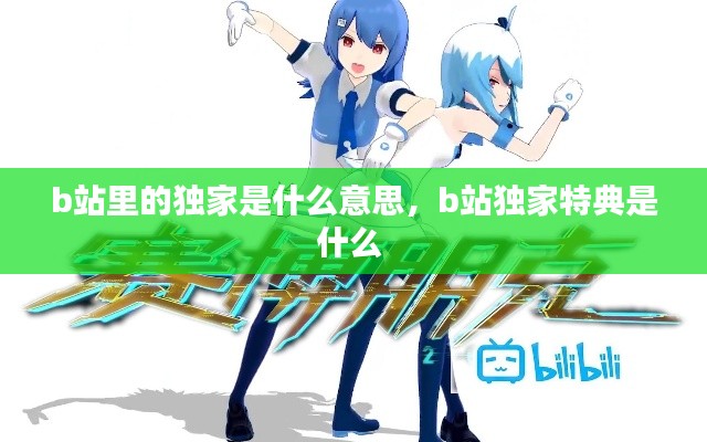 b站里的独家是什么意思,b站独家特典是什么