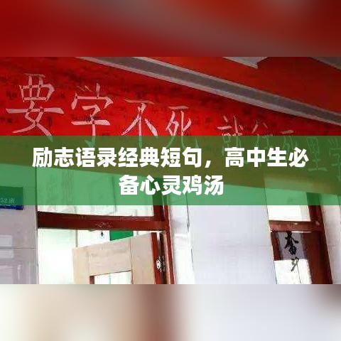 励志语录经典短句,高中生必备心灵鸡汤