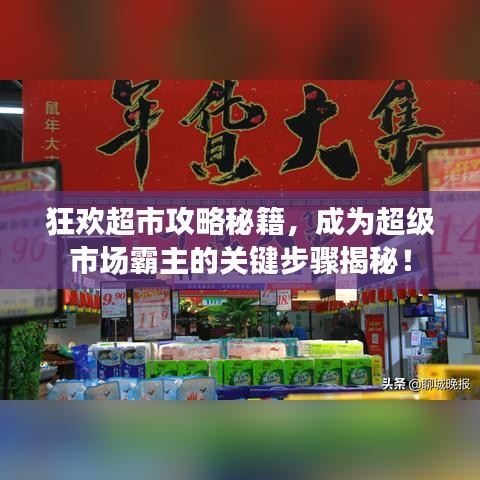 狂欢超市攻略秘籍，成为超级市场霸主的关键步骤揭秘！