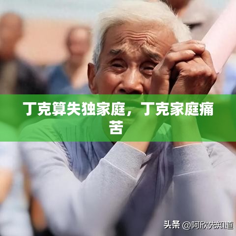 丁克算失独家庭,丁克家庭痛苦