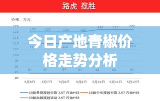今日产地青椒价格走势分析
