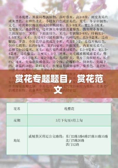 赏花专题题目,赏花范文