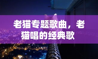 老猫专题歌曲,老猫唱的经典歌