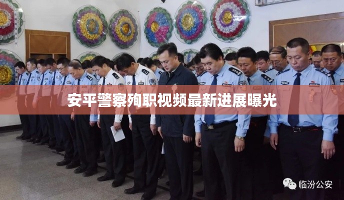 安平警察殉职视频最新进展曝光