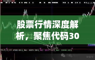 股票行情深度解析,聚焦代码300035,洞悉市场走势!