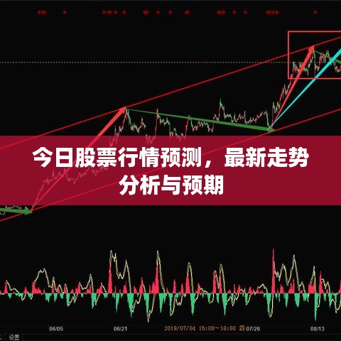 明目张胆 第2页