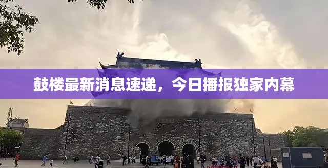 鼓楼最新消息速递,今日播报独家内幕