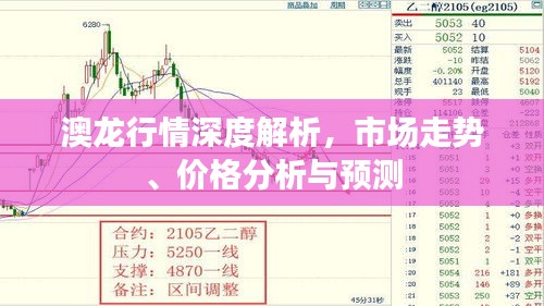 澳龙行情深度解析,市场走势、价格分析与预测