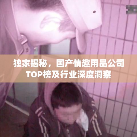 独家揭秘,国产情趣用品公司TOP榜及行业深度洞察