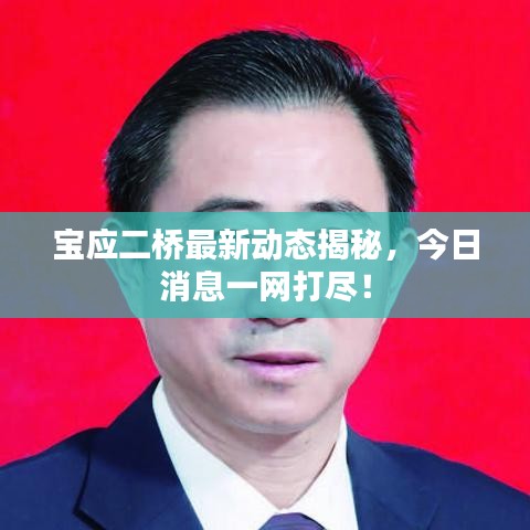 宝应二桥最新动态揭秘,今日消息一网打尽!